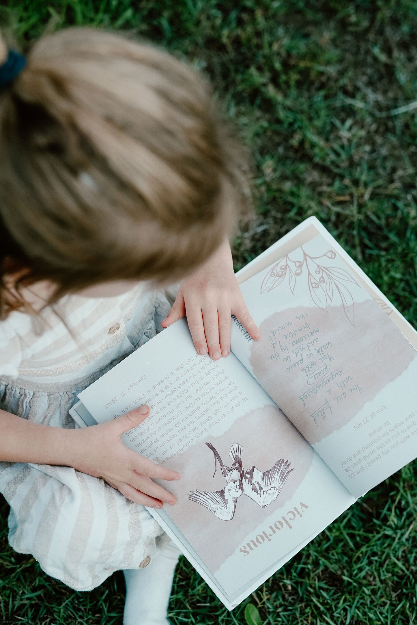 Book: Handpicked